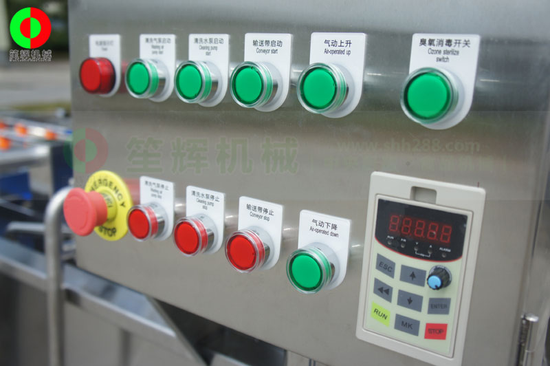 全網鏈輸送洗菜機