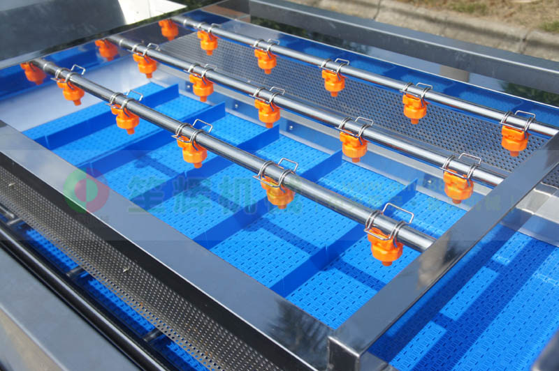 全網鏈輸送洗菜機