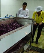 我公司為廣州JFCL提供脫皮和切割設(shè)備