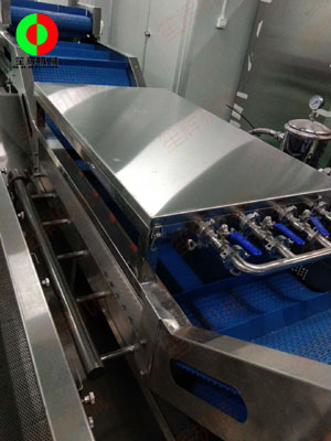 珠海市客戶蔬果無損清洗處理生產線現場