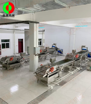 客戶現場兩條蔬菜清洗加工生產線順利安裝調試完成!