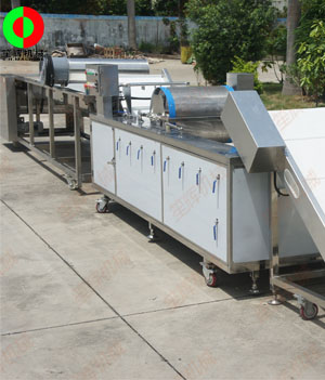 國外客戶訂制的藍(lán)莓自動(dòng)清洗分選生產(chǎn)線順利生產(chǎn)完成測試中!