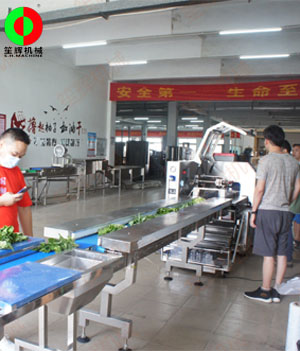 枕式蔬果包裝生產線,客戶現場測試驗收！