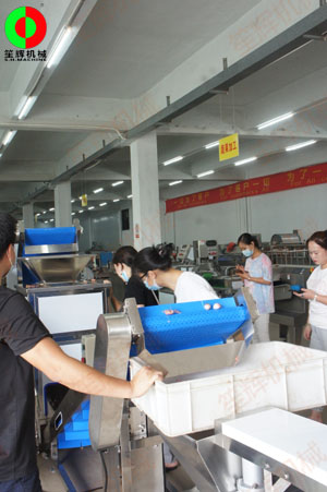 惠州客戶王小姐親臨我司測試洋蔥脫皮及切碎設備!