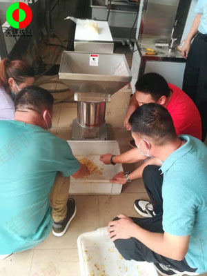 江門客戶謝先生親臨我司測(cè)試生姜清洗脫皮及打碎設(shè)備!