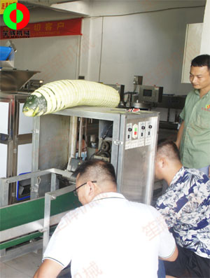 東莞客戶來廠現場測試臥式冬瓜削皮加工機械設備!