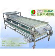 FJ-3000圣女果分級(jí)機(jī)(視頻) FJ-3000圣女果分級(jí)機(jī)(視頻)