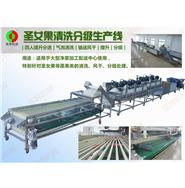 圣女果清洗風干分級生產線(視頻) 圣女果清洗風干分級生產線(視頻)