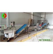 辣椒切割清洗生產線(視頻) 辣椒切割清洗生產線(視頻)