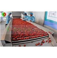 紅棗清洗烘干生產線 紅棗清洗烘干生產線