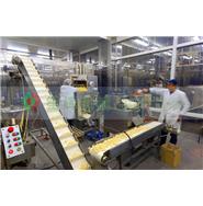 大型水果加工生產線/黃桃加工生產線 大型水果加工生產線/黃桃加工生產線