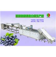 藍(lán)莓/蔬果全自動清洗分級生產(chǎn)線