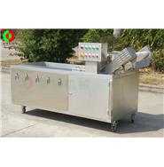 氣泡洗菜機/臭氧消毒洗菜機 QX-22(視頻) 氣泡洗菜機/臭氧消毒洗菜機 QX-22(視頻)